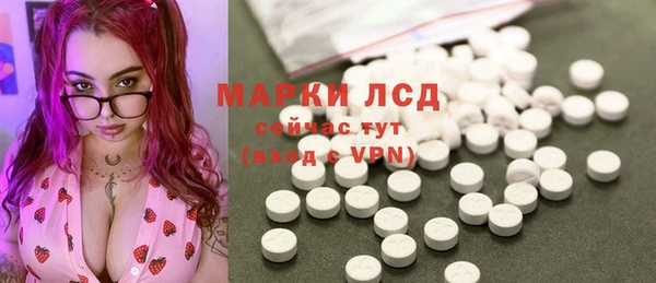 spice Бердск