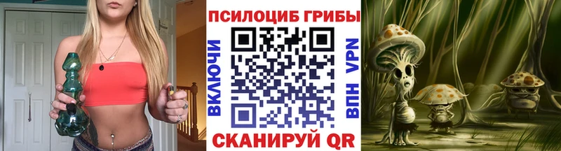 продажа наркотиков  Чистополь  Псилоцибиновые грибы прущие грибы 